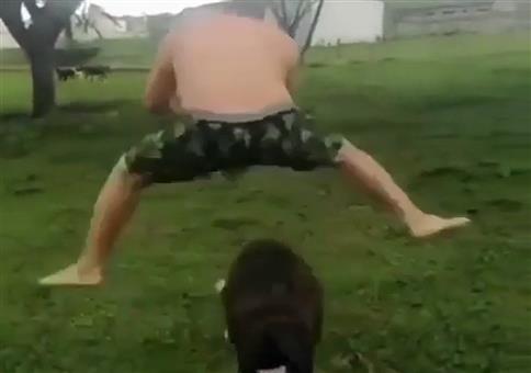 Sich mit dem Schaf anlegen