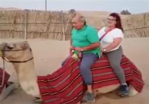 Ungünstiger Schwerpunkt auf Kamel