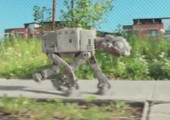 Aus dem frühen Leben eines AT-AT