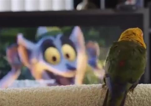 I Like to Move It Move It