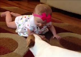 Hund zeigt Baby wie man krabbelt