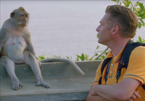 Warum beklauen diese Affen Touristen?