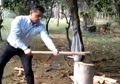 Der Profi beim Holzhacken