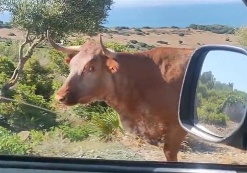 Hey, wo gehts nach Bolonia?