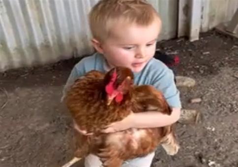 Kind erzählt Witz über Huhn