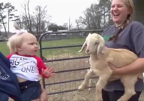 Die Ziegenflüstererin