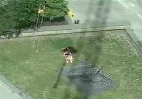 Kranfahrer ärgert Leute beim Sonnenbaden