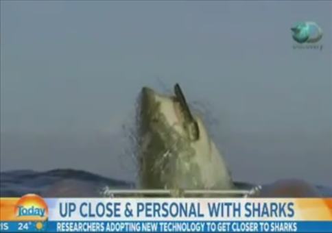 Haivideo beeindruckt Nachrichtensprecher