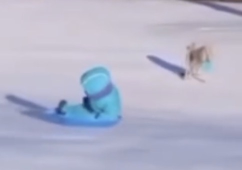 Punktladung beim Rodeln