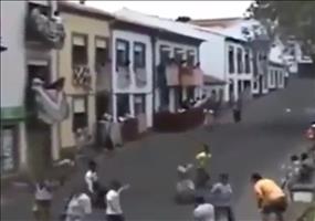 Vorsicht die Bullen kommen!