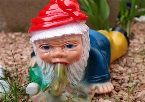 Der kotzende Gartenzwerg