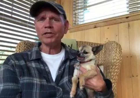 Entspannen und das Hündchen streicheln