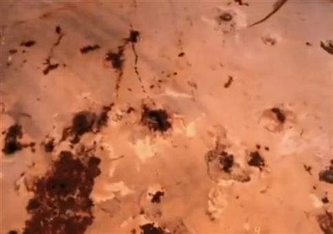 Na wer versteckt sich denn da im Tank?