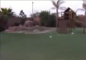 Den Hund zum Essen rufen