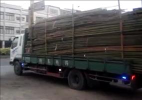 Die Ladung Bambus abladen