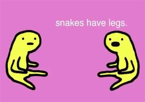 Schlangen haben Beine