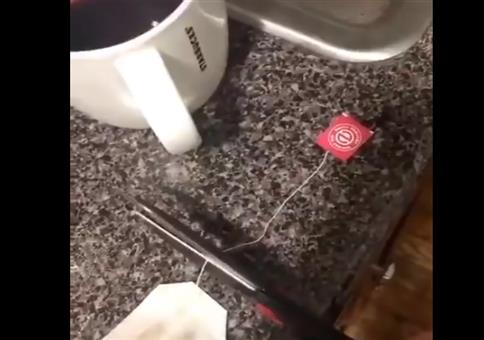 Trick für Videocalls: Wein statt Tee