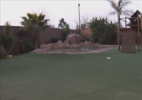 Einen hungrigen Tiger füttern