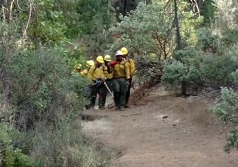 Singende Feuerbrigade im Wald