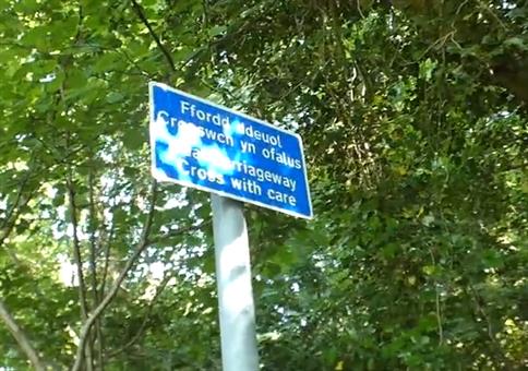 Kleines Hindernis auf dem Wanderweg