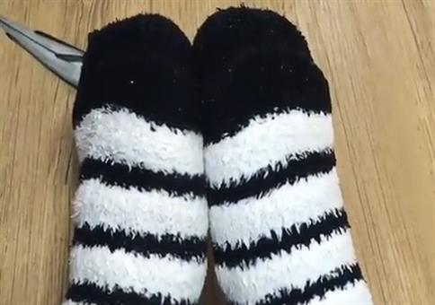 Kuckkuck Nymphensittich!