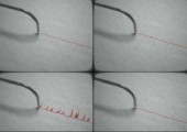 Seismographen zum Takt der Musik