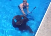 Schimpanse unter Wasser
