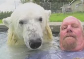Der Mann, der mit dem Eisbär schwimmt