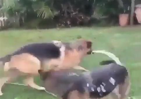 Deutsche Sprinkleranlage