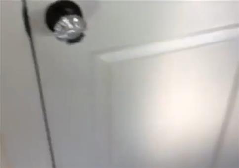 Hund sitzt in Kammer