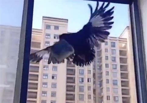 Mein Freund bringt mir Geld nach Hause