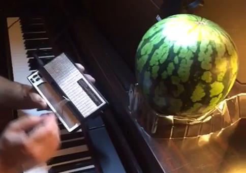 Wieso steht da eine Melone?