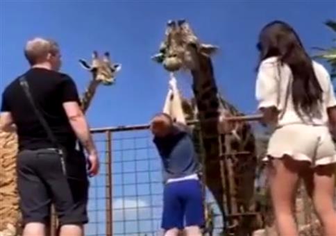 Man muss auch loslassen können!