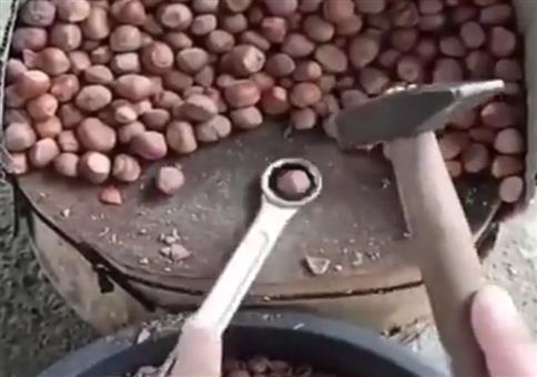 Clevere Methode um Haselnüsse zu knacken