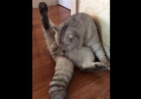 Die Realität kann so hart sein