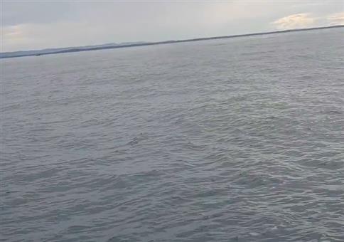 Hier müssten irgendwo Wale sein