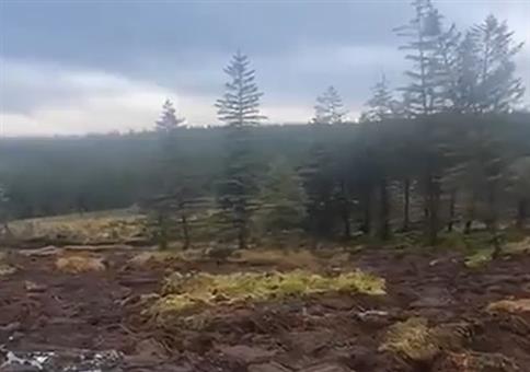 Landschaft schwimmt weg