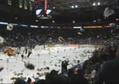 Teddybär Invasion beim Eishockey