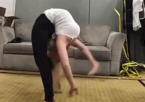 Hornoxe.com - Gifdump #318 - Animierter Picdump