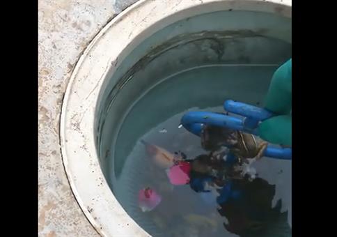 Ungleiches Paar wird gerettet