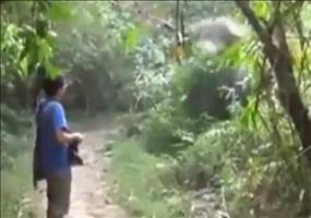 Er will einen Elefanten aus nächster Nähe fotografieren