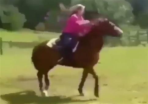 Ein Pferd namens John Cena