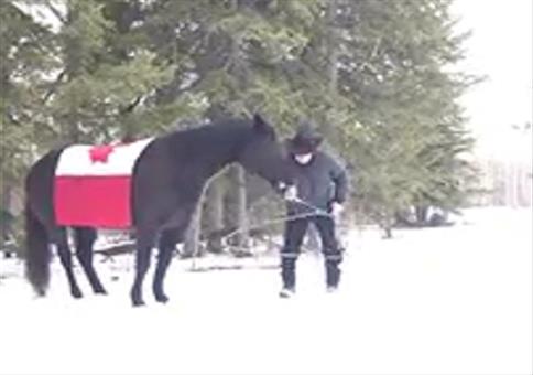 Ein Lasso-schwingendes Pferd