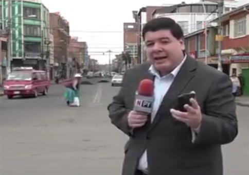 Tierische Liebe im Live TV