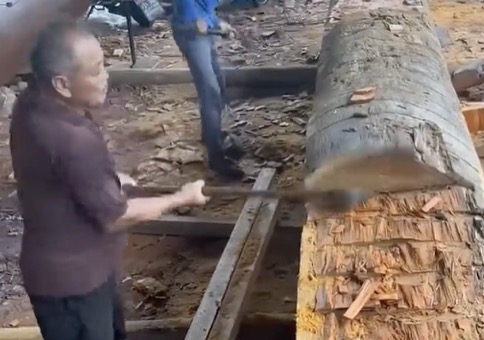 Alles wird aus Holz gemacht