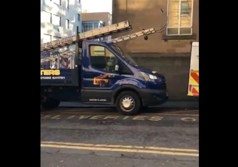 Der hupende Hund im Transporter