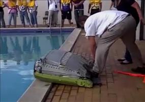 Selbstaufblasendes Hovercraft