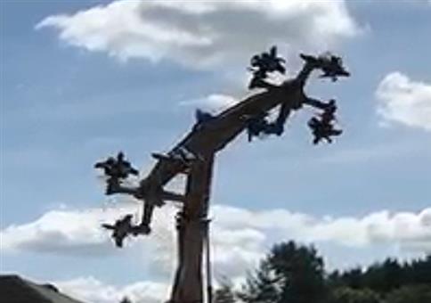 Verdächtiges Fahrgeschäft