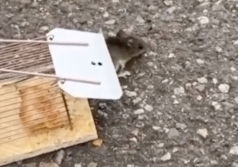 Jalla! Enjoy! Scheiße! - Die Sendung mit der Maus