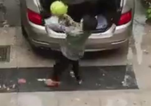 Die Rache der Wassermelone